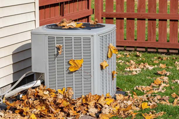 Best HVAC maintenance near me  in Long Creek, IL